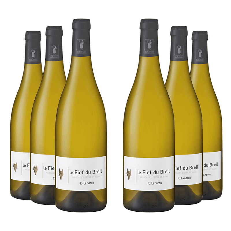 Jo Landron : Le Fief du Breil 2018 Jo Landron : Le Fief du Breil 2018 von Jo Landron