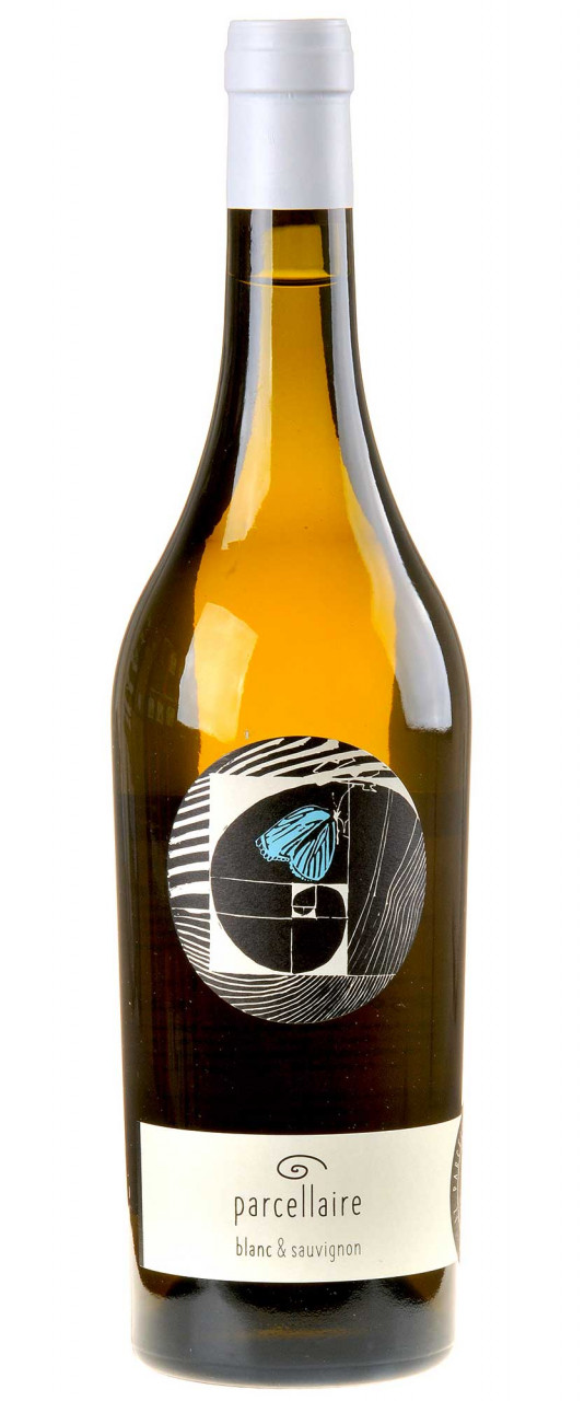 Johannes Zillinger Parcellaire blanc & Sauvignon Bio 2020 Johannes Zillinger Parcellaire blanc & Sauvignon Bio 2020 von Johannes Zillinger