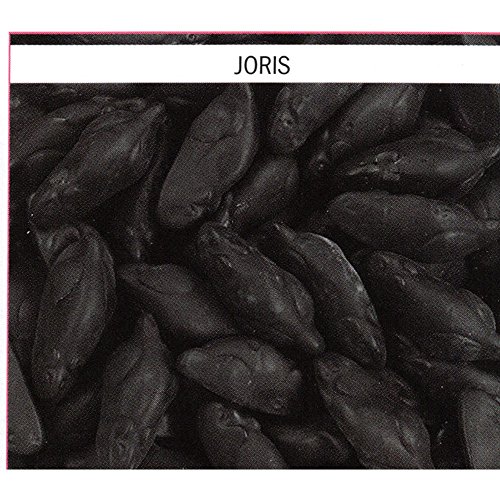 Joris Souris Noires 1 x 1kg Packung (Lakritz-Fruchtgummimäuse) von Joris