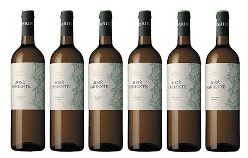 6x 0,75l - José Pariente - Sauvignon Blanc - Rueda D.O.P. - Spanien - Weißwein trocken von José Pariente