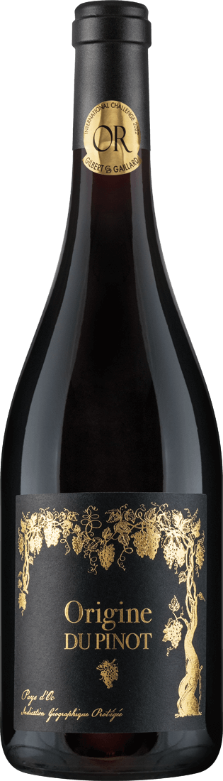 Pinot Noir Origine du Pinot 2021 von Joseph Castan