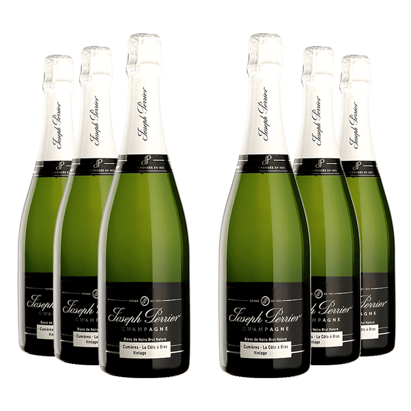 Joseph Perrier : Cuvée Royale Brut Nature Blanc de Noirs Vintage 2011 Joseph Perrier : Cuvée Royale Brut Nature Blanc de Noirs Vintage 2011 von Joseph Perrier