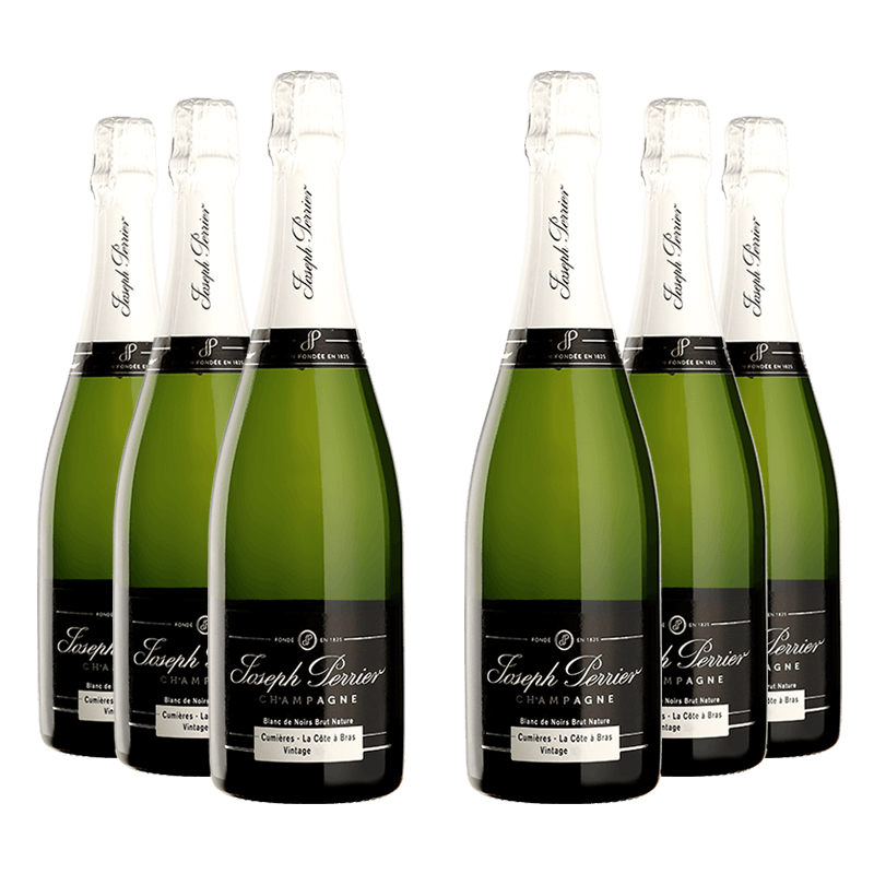 Joseph Perrier : Cuvée Royale Brut Nature Blanc de Noirs Vintage 2011 von Joseph Perrier