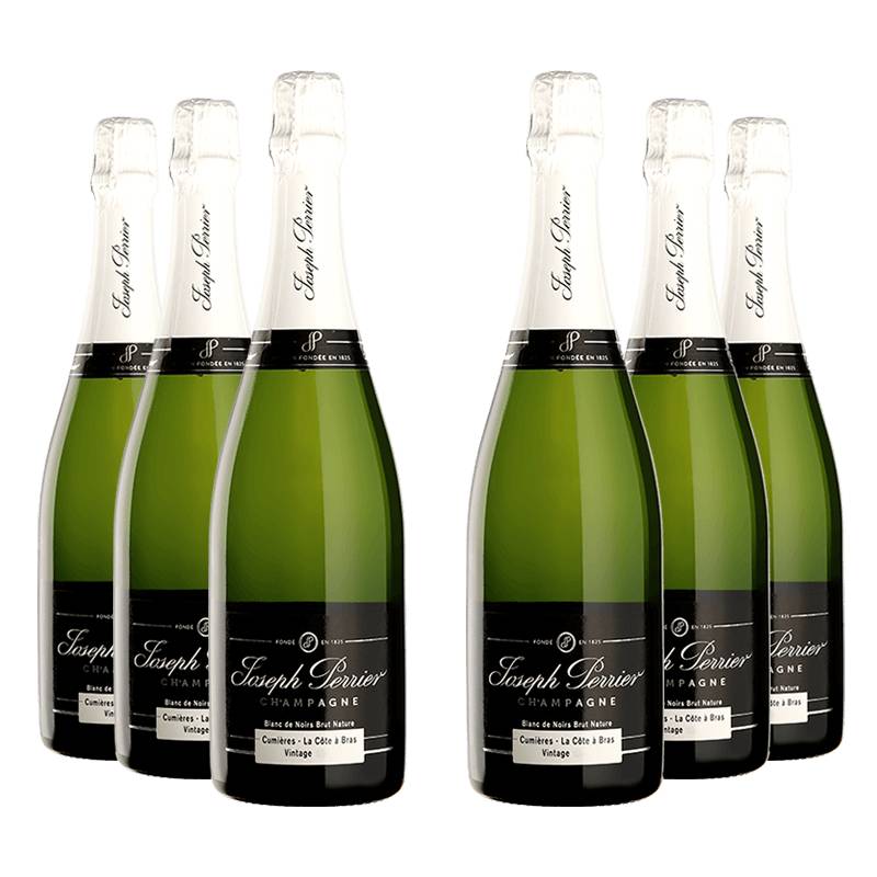 Joseph Perrier : Cuvée Royale Brut Nature Blanc de Noirs Vintage 2011 von Joseph Perrier