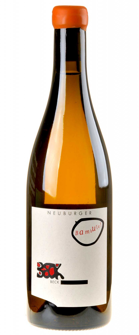 Judith Beck Neuburger Bambule Bio 2019 Judith Beck Neuburger Bambule Bio 2019 von Judith Beck
