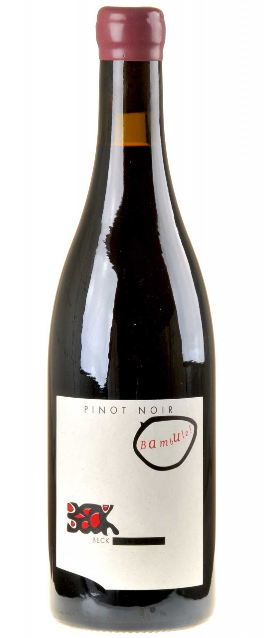 Judith Beck Pinot Noir Bambule Bio 2018 von Judith Beck