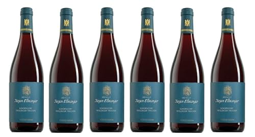6x 0,75l - 2023er - Jürgen Ellwanger - Schorndorf - Trollinger - VDP.Ortswein - Qualitätswein Württemberg - Deutschland - Rotwein trocken von Jürgen Ellwanger