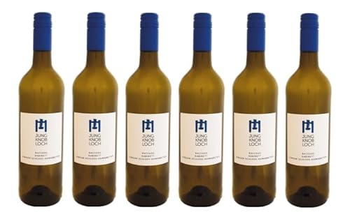 6x 0,75l - 2023er - Jung & Knobloch - Albiger Schloss Hammerstein - Bacchus Kabinett - Prädikatswein Rheinhessen - Deutschland - Weißwein lieblich 6x 0,75l - 2023er - Jung & Knobloch - Albiger Schloss Hammerstein - Bacchus Kabinett - Prädikatswein Rheinhessen - Deutschland - Weißwein lieblich von Jung & Knobloch