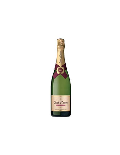 Juvé y Camps Cava »Cinta Púrpura« Brut Reserva 2010 von Juve Camps