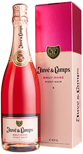 Juvé y Camps Brut Rosé Cava Brut Reserva (3 x 0.75 l) von Juvé y Camps