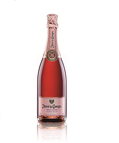 Juvé y Camps Brut Rosé Pinot Noir Cava (1 x 0.75l) von Juvé y Camps