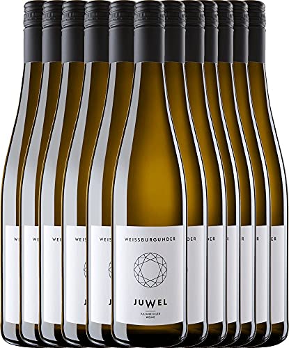 VINELLO 12er Weinpaket Weißwein - Weißburgunder trocken 2020 - Juwel Weine mit VINELLO.weinausgießer | trockener Weißwein | Juwel Weine aus Rheinhessen | 12 x 0,75 Liter VINELLO 12er Weinpaket Weißwein - Weißburgunder trocken 2020 - Juwel Weine mit VINELLO.weinausgießer | trockener Weißwein | Juwel Weine aus Rheinhessen | 12 x 0,75 Liter von Juwel Weine - Juliane Eller