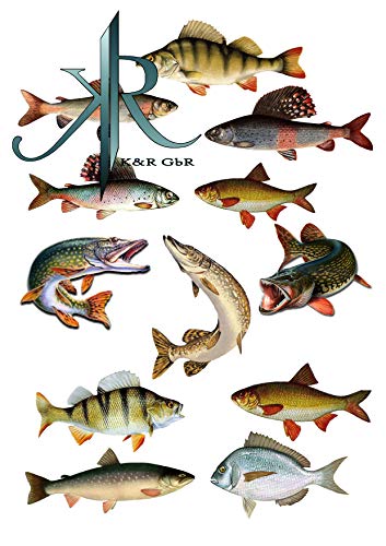 Fishing, Angler, Fisch, 12 Stück, Tortenaufleger Geburtstag, … Deckopapier, Zuckerpapier von K&R GbR