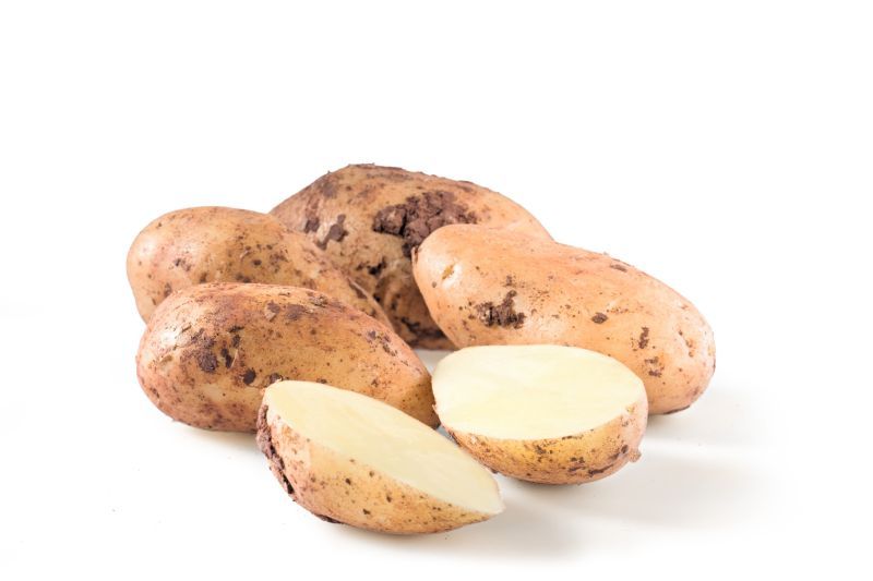 Kartoffel Annabelle von K.u.A. Rittner GmbH