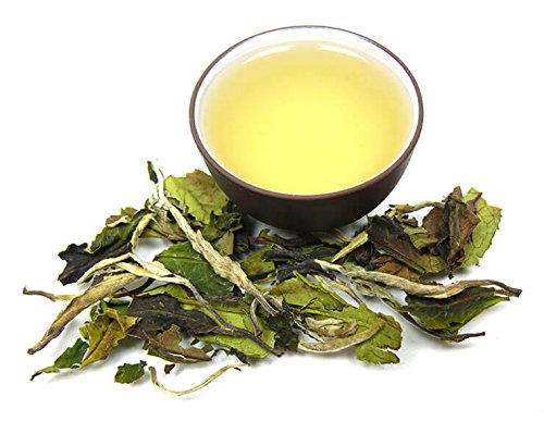 BIO Weißer Tee »Pai Mu Tan« von KOBU-TEE