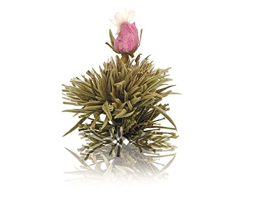 Weiße Teeblüte »Juweltröpfchen« 1 Stück von KOBU-TEE