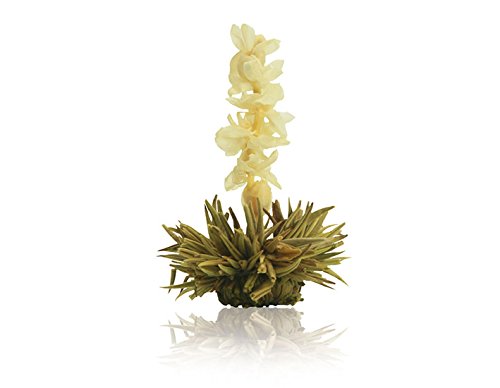Weiße Teeblüte »Weiße Affäre« von KOBU-TEE