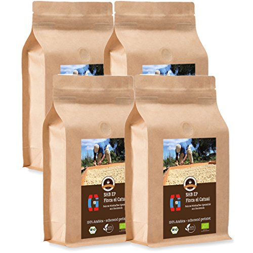 Kaffee Globetrotter - Bio Guatemala SHB EP Finca El Catuai - 4 x 1000 g Fein Gemahlen - für Kaffee-Vollautomat, Kaffeemühle - Röstkaffee aus biologischem Anbau | Gastropack Sparpack von Kaffee Globetrotter