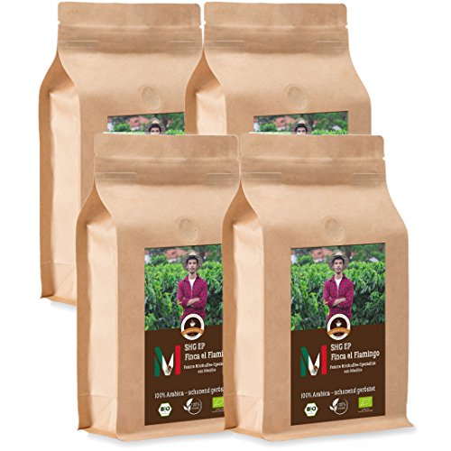 Kaffee Globetrotter - Bio Mexico Finca El Flamingo- 4 x 1000 g Fein Gemahlen - für Kaffee-Vollautomat, Kaffeemühle - Röstkaffee aus biologischem Anbau | Gastropack Sparpack von Kaffee Globetrotter