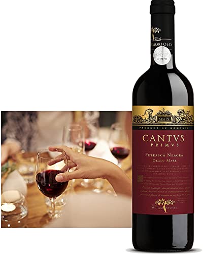 Karpaten Weine Cantus Primus Feteasca Neagra - Schwarze Mädchentraube - Schwarzmädchen Traube Trockener Rotwein aus Rumänien (1x 0.75 l) von Budureasca