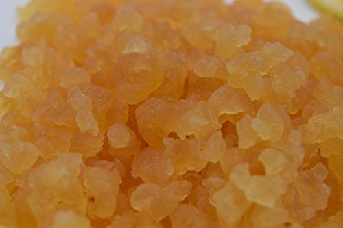 Ginger Root Plant, Ingwerlimonade, Vegan, frisch und vital mit Anleitung und saisonal wechselndem gratis Rezept von Kefir-for-all