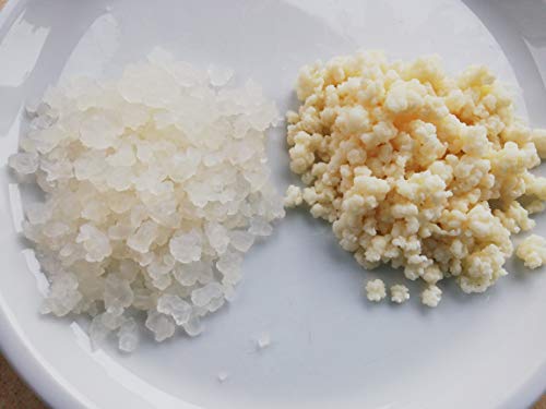 Kombipaket Japankristalle, Wasserkefir + Milchkefir, Tibetanische Kefirknollen von Kefir-for-all