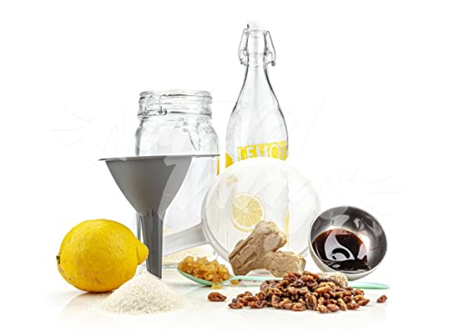 Starterset Ginger Root Plant Starterset Ginger Root Plant von Kefir-for-all