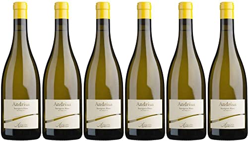 6x Sauvignon Andrius 2022 - Kellerei Andrian, Südtirol - Weißwein von Kellerei Andrian