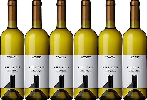 6x Pinot Grigio Puiten 2022 - Kellerei Schreckbichl - Cantina Colterenzio, Südtirol - Weißwein von Kellerei Schreckbichl - Cantina Colterenzio