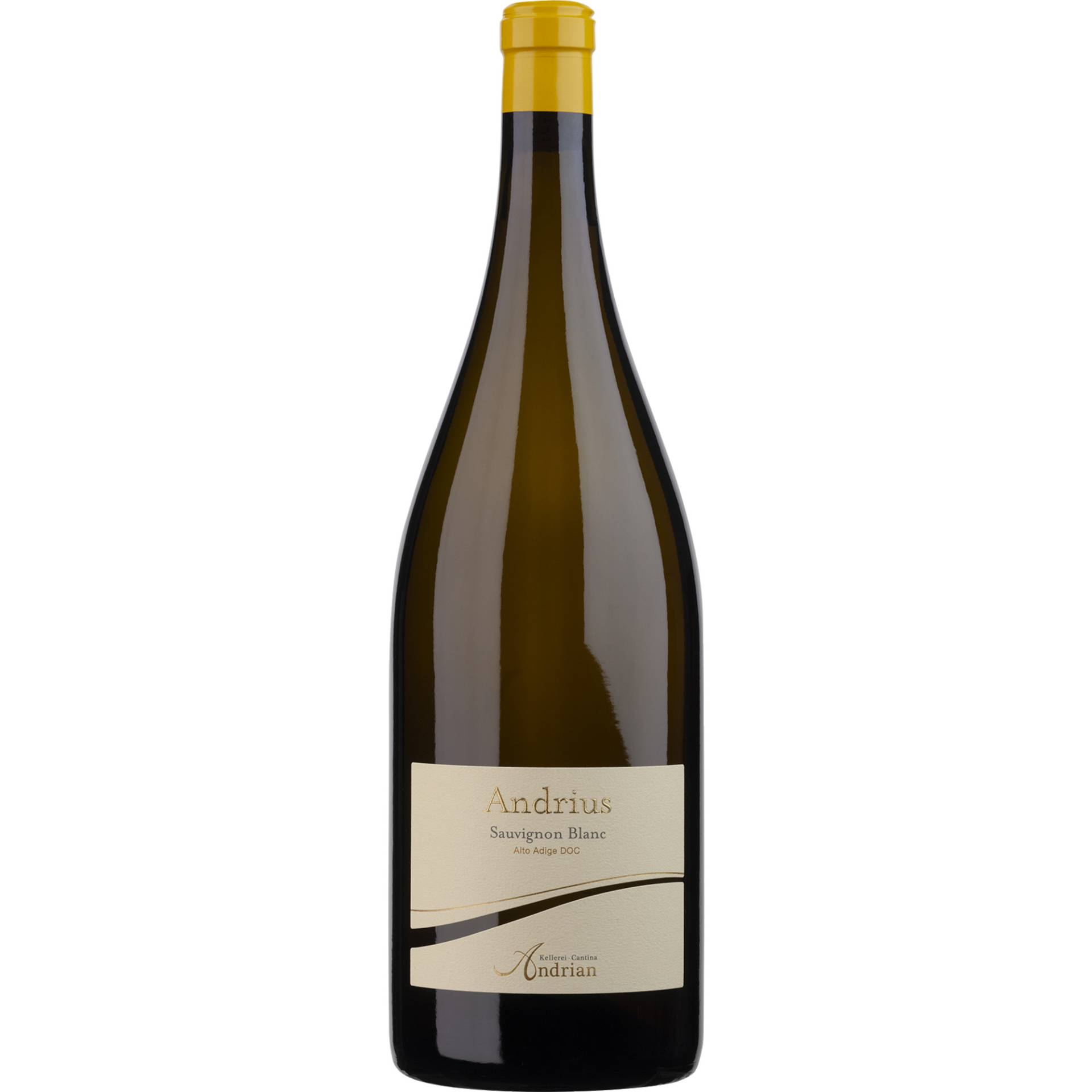 Andrius Sauvignon Blanc, Alto Adige DOC, 1,5 L, Südtirol, 2022, Weißwein von Kellerei Terlan, IT-39018 Terlan (BZ)