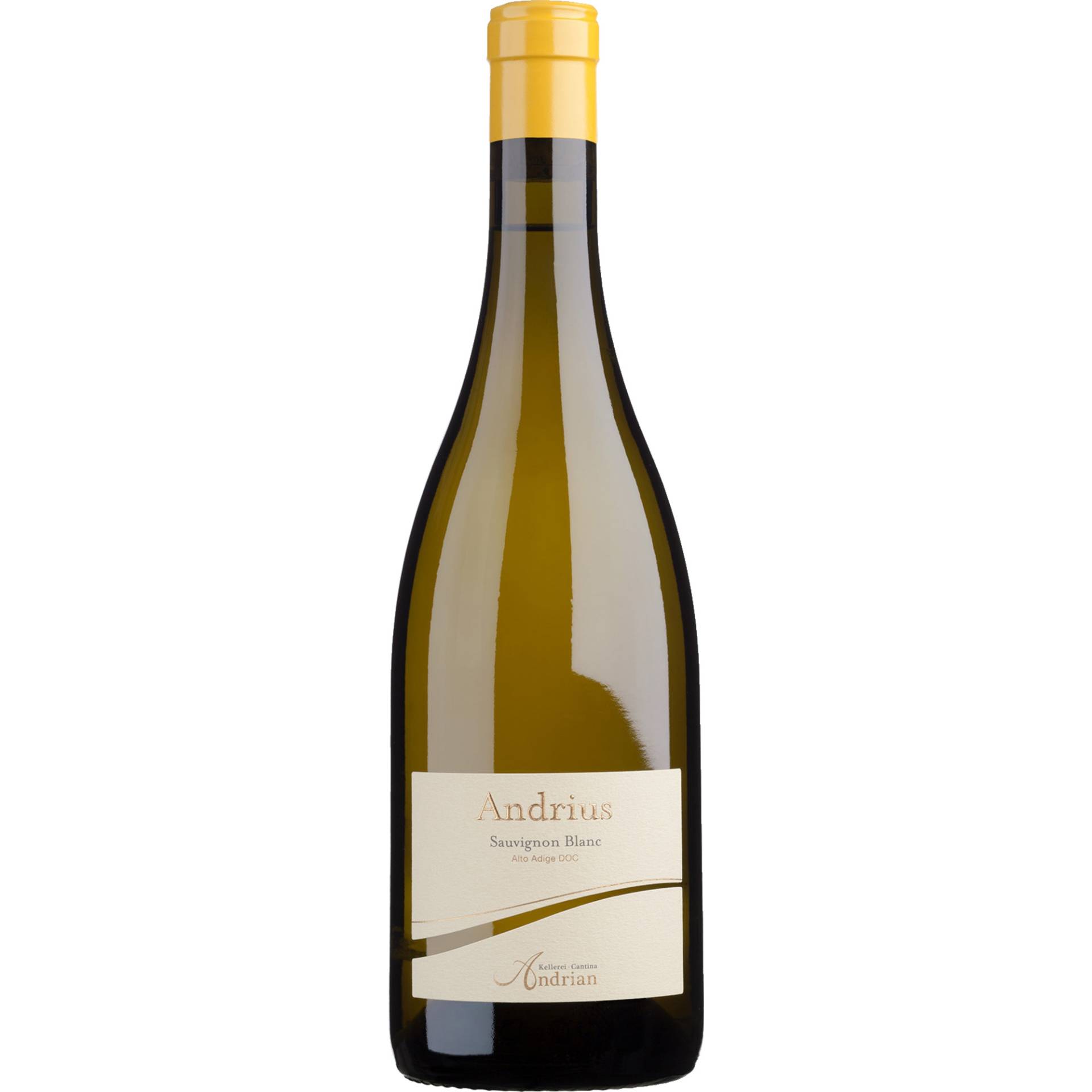 Andrius Sauvignon, Alto Adige DOC, Südtirol, 2023, Weißwein von Kellerei Terlan,39018,Terlan (BZ),Italien
