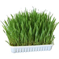 Nagergras - 2 x 100 g Nagergras - 2 x 100 g von Kerbl