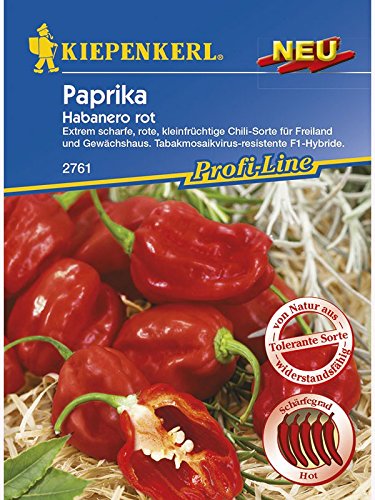 Paprika Habanero rot von Kiepenkerl - Gemüse-Saatgut