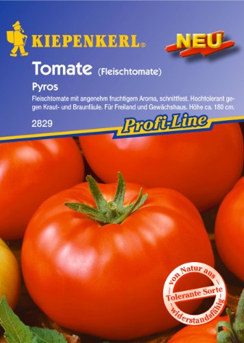 Tomate, Pyros (Fleischtomate) von Kiepenkerl - Gemüse-Saatgut