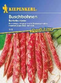 Bohne Borlotto rosso / Buschbohnen von Kiepenkerl