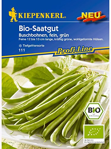 Buschbohne Domino grün BIO Buschbohne Domino grün BIO von Kiepenkerl
