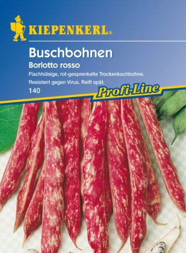 Buschbohnen Borlotto Rosso von Kiepenkerl