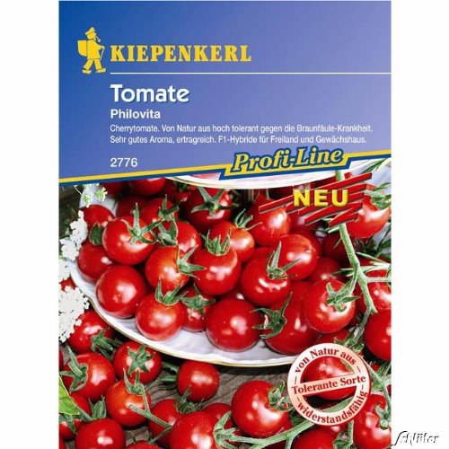 Cherry-Tomate 'Philovita' von Kiepenkerl