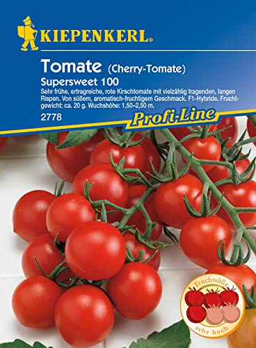 Cherry-Tomate Supersweet 100, F1, sehr frühe ertragreiche Kirschtomate mit vielzählig tragenden langen Rispen Cherry-Tomate Supersweet 100, F1, sehr frühe ertragreiche Kirschtomate mit vielzählig tragenden langen Rispen von Kiepenkerl