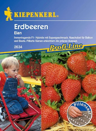 Erdbeeren, Elan, F1 von Kiepenkerl