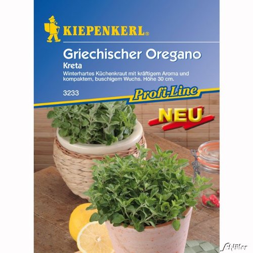 Griechischer Oregano 'Kreta' Griechischer Oregano 'Kreta' von Kiepenkerl