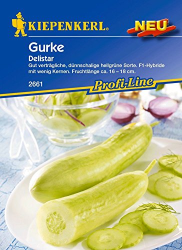 Gurkensamen - Salatgurke Delistar von Kiepenkerl von Kiepenkerl