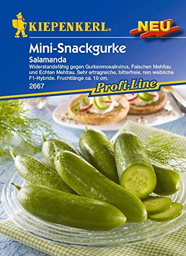 Gurkensamen - Salatgurke Salamanda von Kiepenkerl Gurkensamen - Salatgurke Salamanda von Kiepenkerl von Kiepenkerl