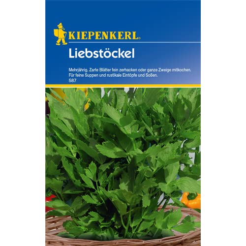 KIepenkerl 4000159155879 Maggikraut Liebstöckel Saatgut KIepenkerl 4000159155879 Maggikraut Liebstöckel Saatgut von Kiepenkerl
