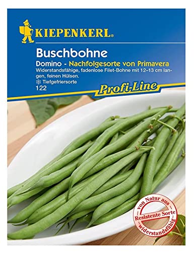 Kiepenkerl 0122 Buschbohne Domino, widerstandsfähige fadenlose Filet-Bohne, Tiefgefriersorte von Kiepenkerl