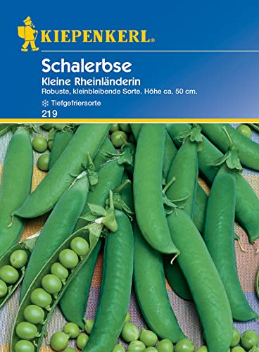 Kiepenkerl 0219 Schalerbse Kleine Rheinländerin, Hülse dunkelgrün mittellang bis lang mit geschwungener Spitze, mittelfrüh reifend Kiepenkerl 0219 Schalerbse Kleine Rheinländerin, Hülse dunkelgrün mittellang bis lang mit geschwungener Spitze, mittelfrüh reifend von Kiepenkerl