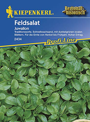 Kiepenkerl 2434 Feldsalat Juwallon (Feldsalatsamen) von Kiepenkerl