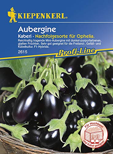 Kiepenkerl 2615 Aubergine Kaberi (TSX 250) F1 (Auberginensamen) von Kiepenkerl