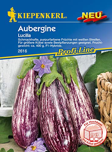 Kiepenkerl 2616 Aubergine Lucilla (Auberginensamen) von Kiepenkerl