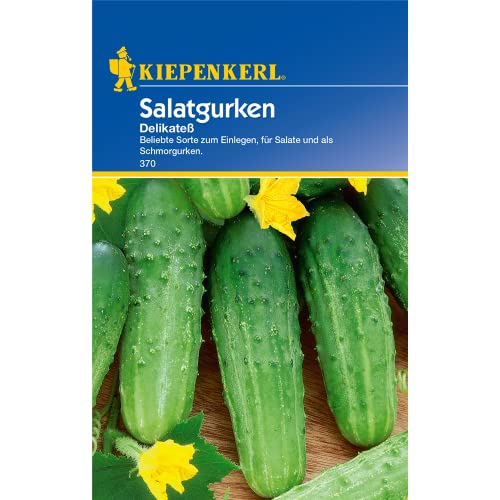 Kiepenkerl 370 Salatgurke Delikatess (Salatgurkensamen) von Kiepenkerl